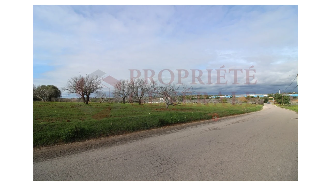 Terreno para Venda em Guia Foto 1