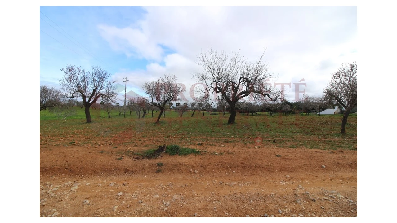 Terreno para Venda em Guia Foto 5