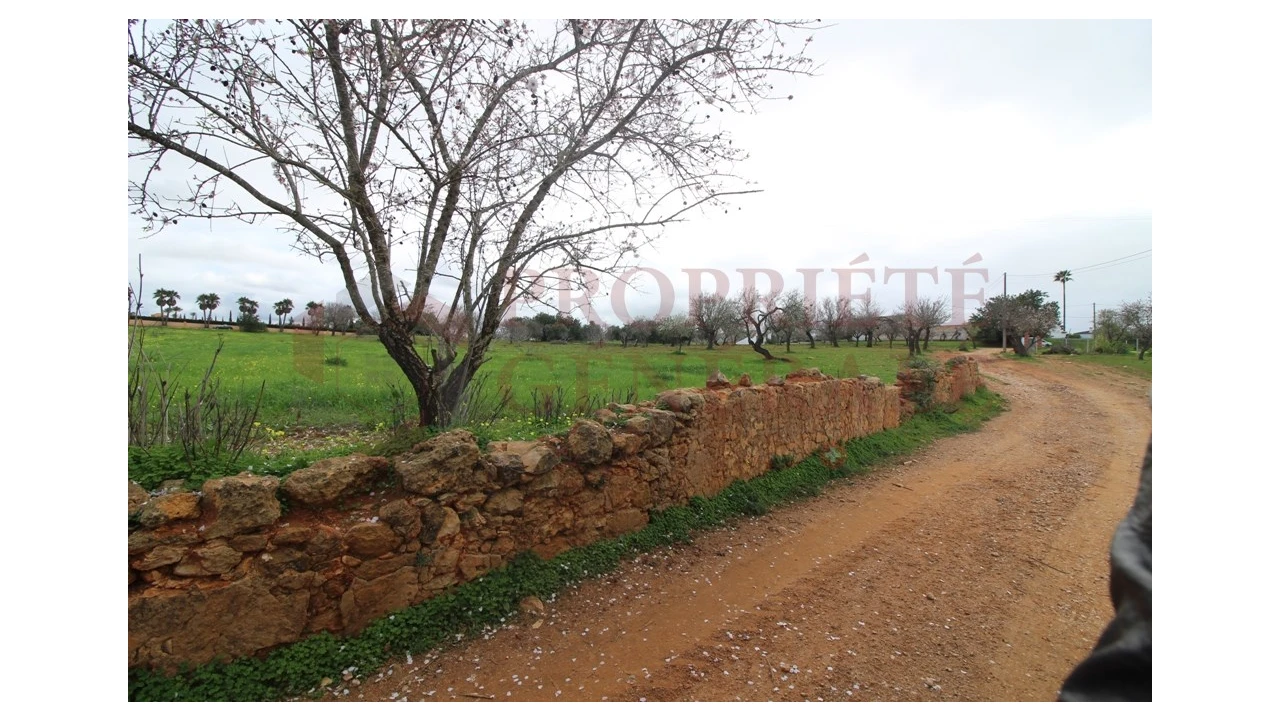 Terreno para Venda em Guia Foto 7