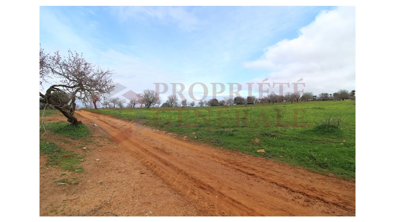 Terreno para Venda em Guia Foto 8