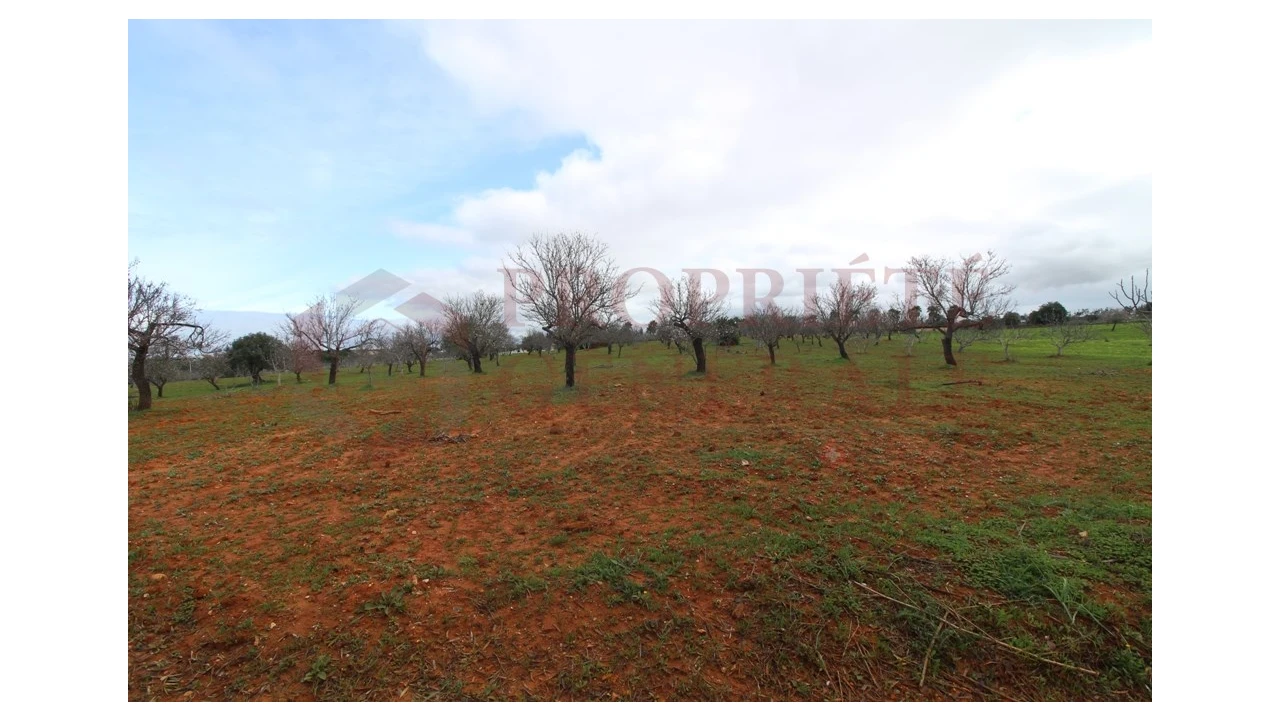 Terreno para Venda em Guia Foto 10