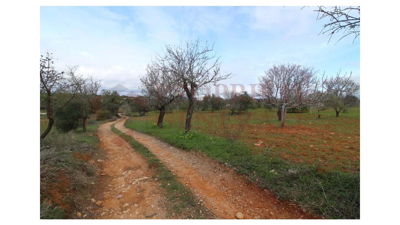 Terreno para Venda em Guia Foto 11