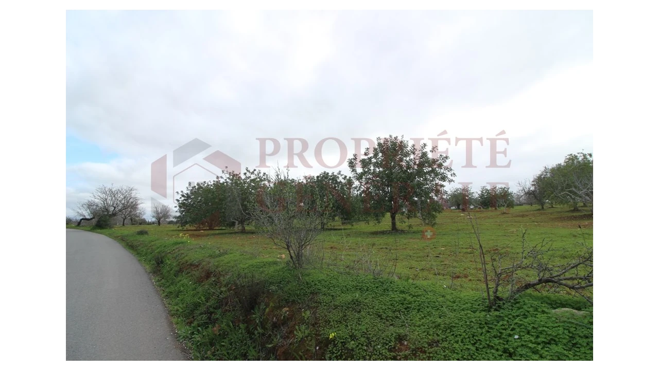 Terreno para Venda em Guia Foto 12