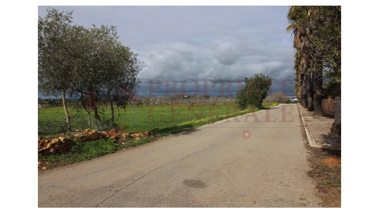 Terreno para Venda em Guia Foto 14