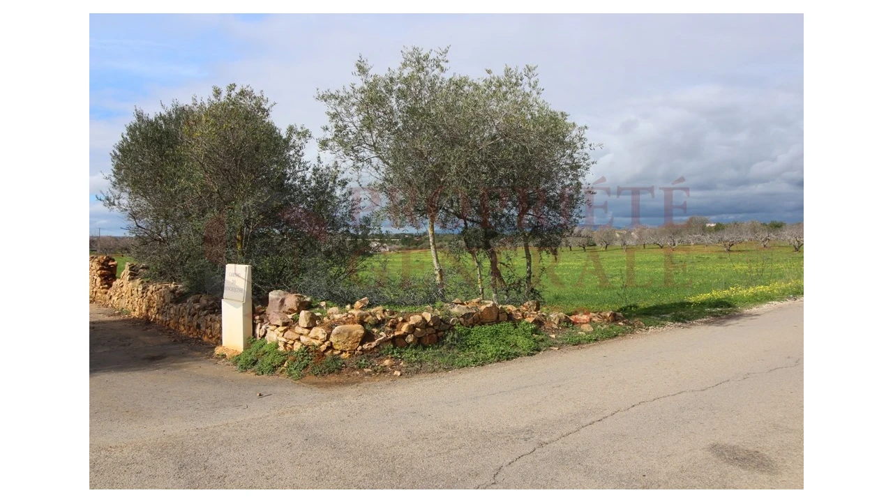 Terreno para Venda em Guia Foto 15