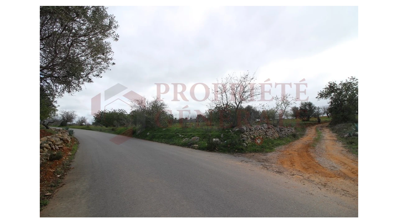 Terreno para Venda em Guia Foto 16