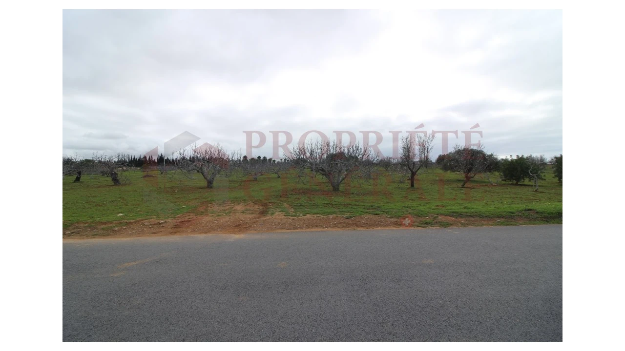 Terreno para Venda em Guia Foto 17