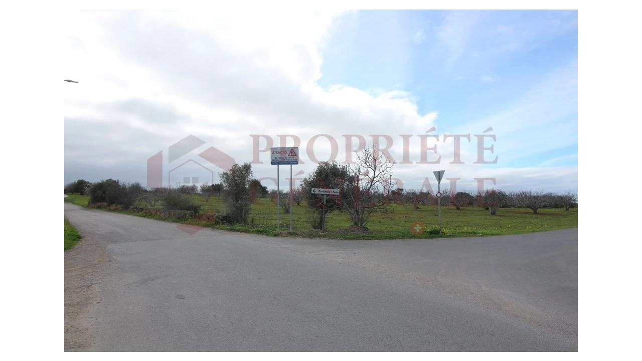 Terreno para Venda em Guia Foto 18