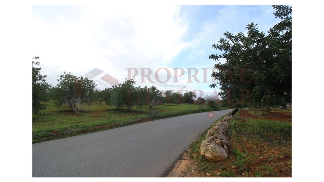 Terreno para Venda em Guia Foto 19