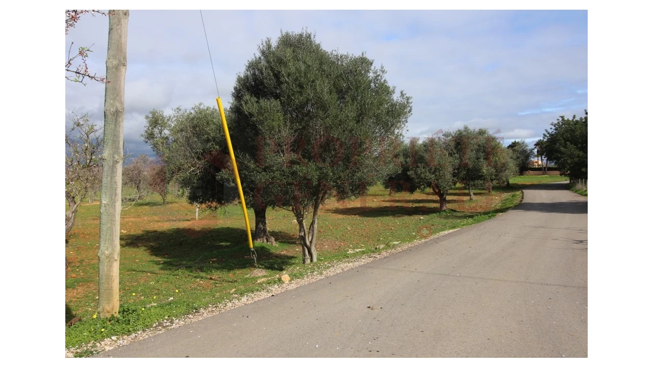 Terreno para Venda em Guia Foto 20