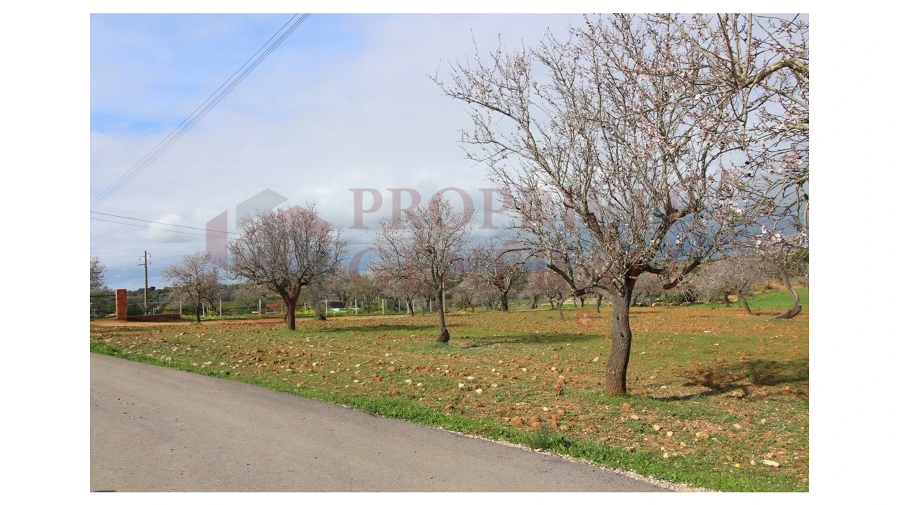 Terreno para Venda em Guia Foto 21