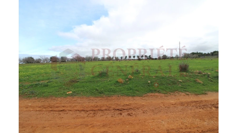 Terreno para Venda em Guia Foto 2