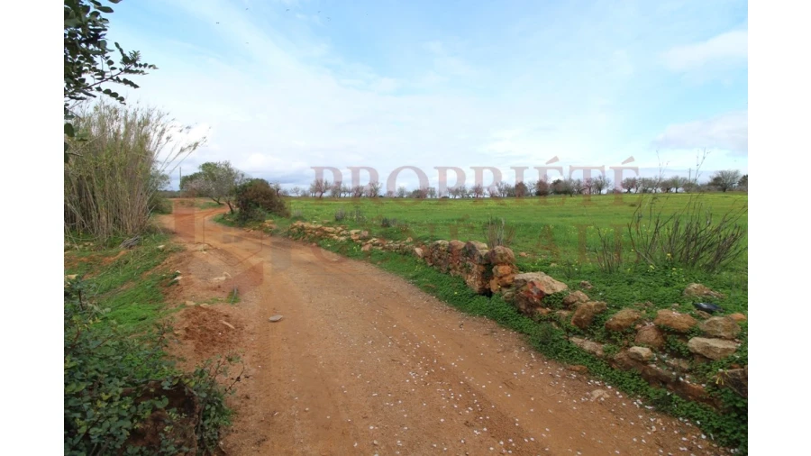Terreno para Venda em Guia Foto 3