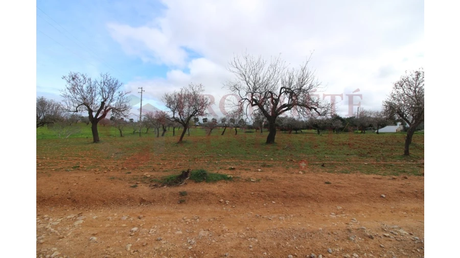 Terreno para Venda em Guia Foto 5