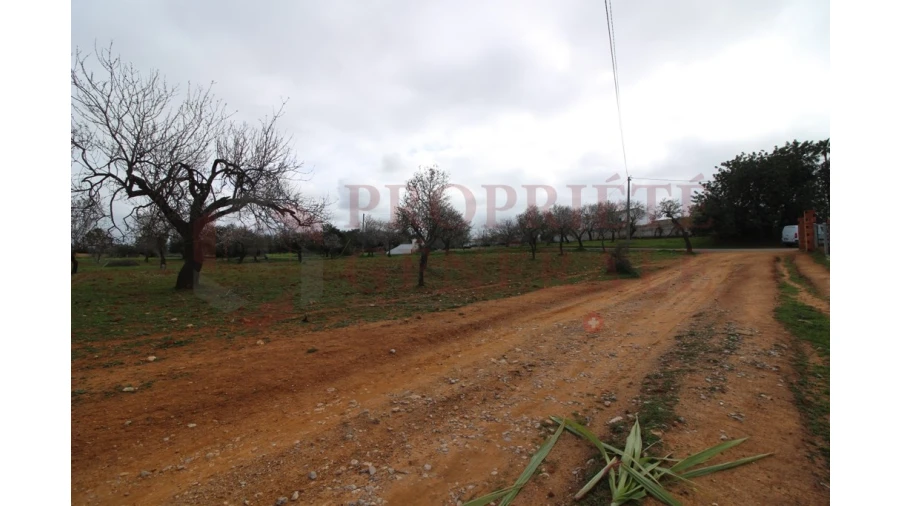 Terreno para Venda em Guia Foto 6