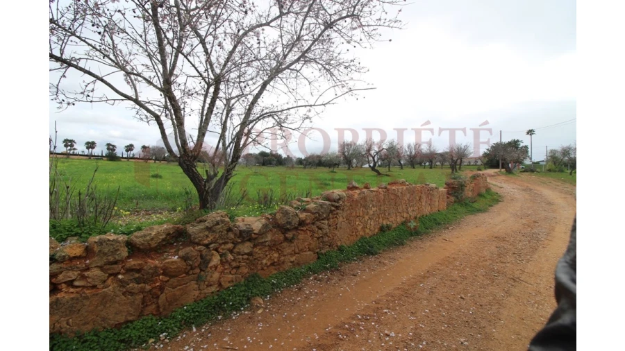 Terreno para Venda em Guia Foto 7