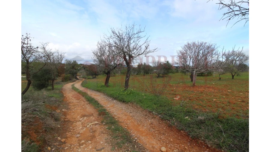 Terreno para Venda em Guia Foto 11