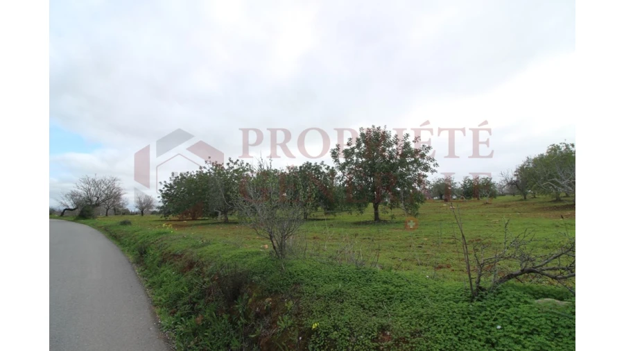 Terreno para Venda em Guia Foto 12