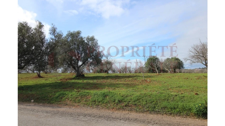 Terreno para Venda em Guia Foto 13