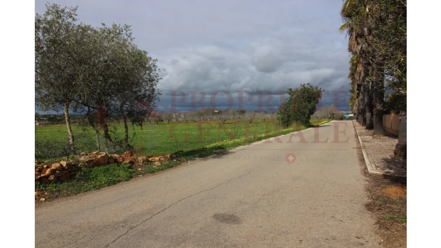 Terreno para Venda em Guia Foto 14