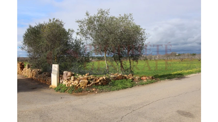 Terreno para Venda em Guia Foto 15