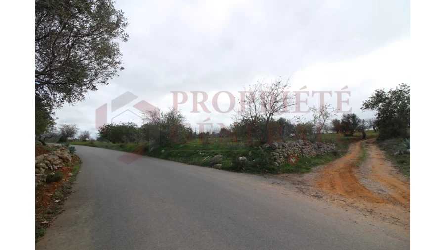 Terreno para Venda em Guia Foto 16