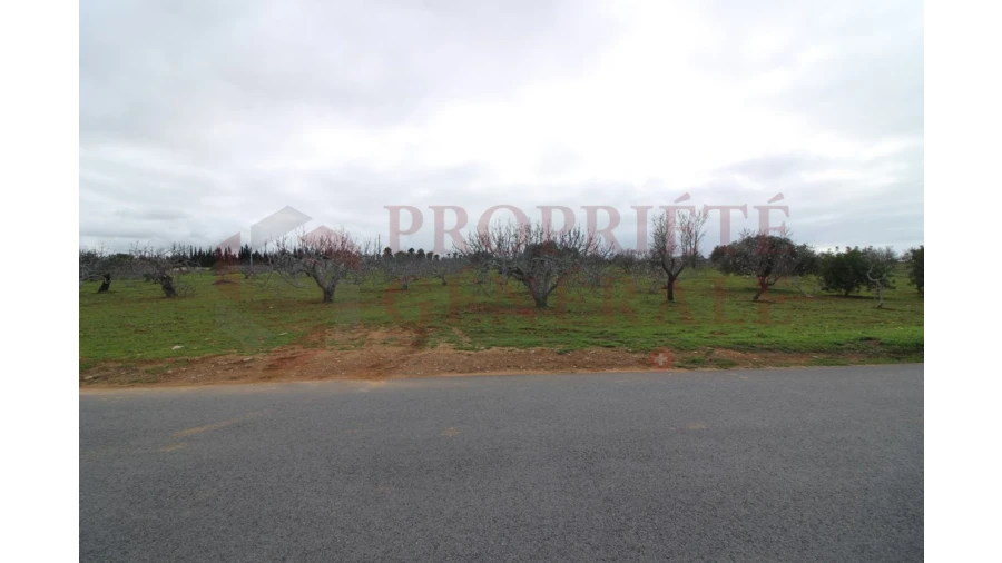 Terreno para Venda em Guia Foto 17