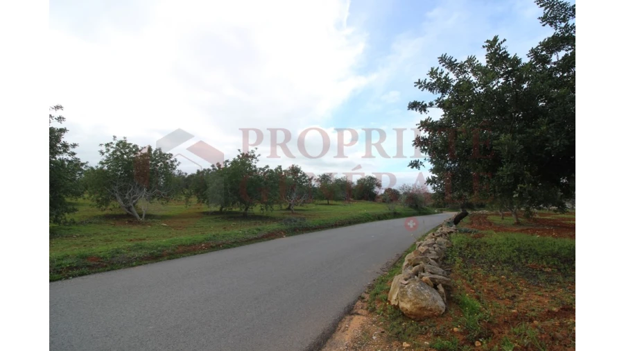 Terreno para Venda em Guia Foto 19