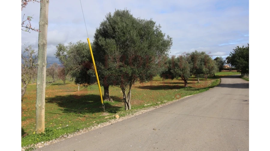 Terreno para Venda em Guia Foto 20
