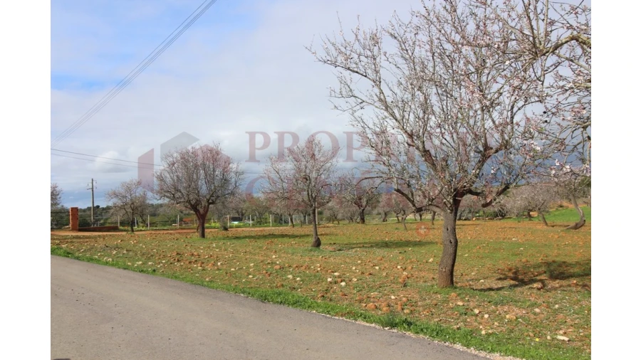 Terreno para Venda em Guia Foto 21