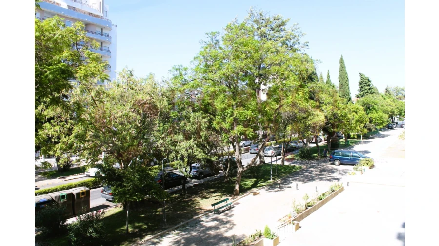 Escritório para Venda em Faro (Sé e São Pedro) Foto 48