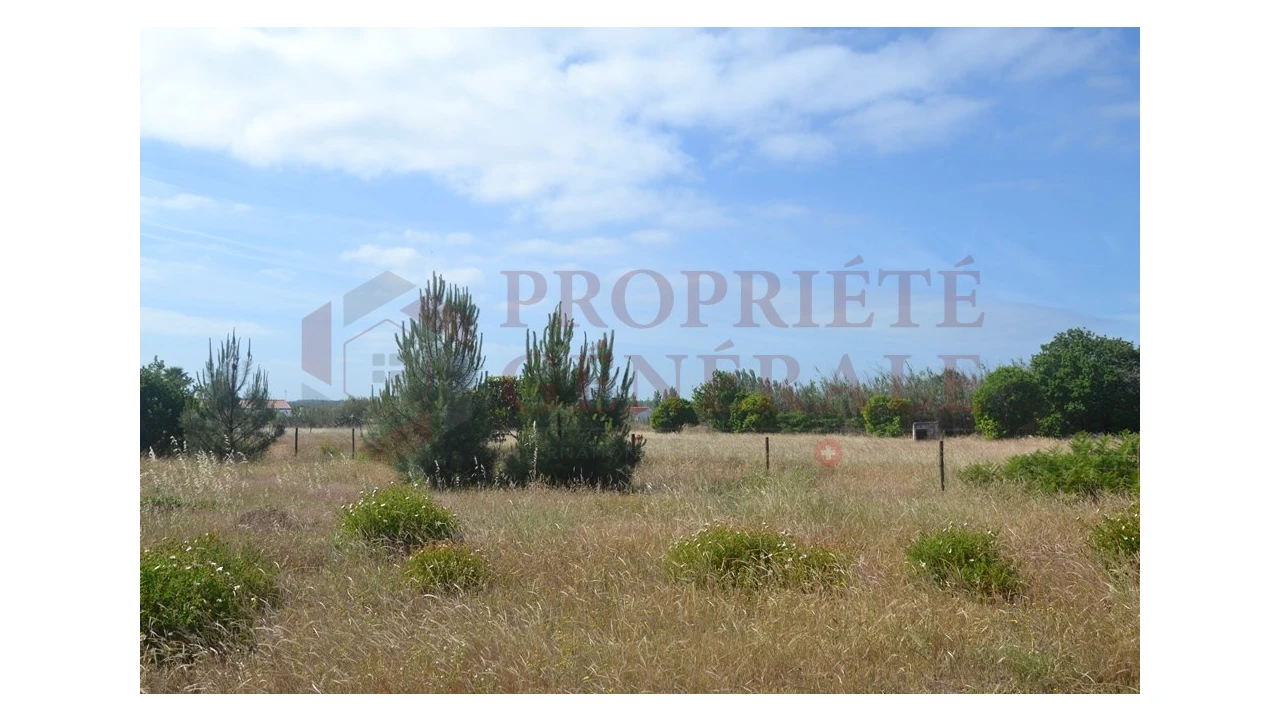 Terreno P/ Prédio para Venda em Loule (São Clemente) Foto 1