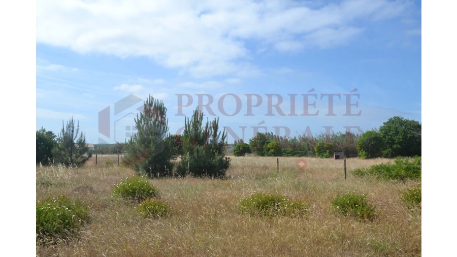Terreno P/ Prédio para Venda em Loule (São Clemente) Foto 1