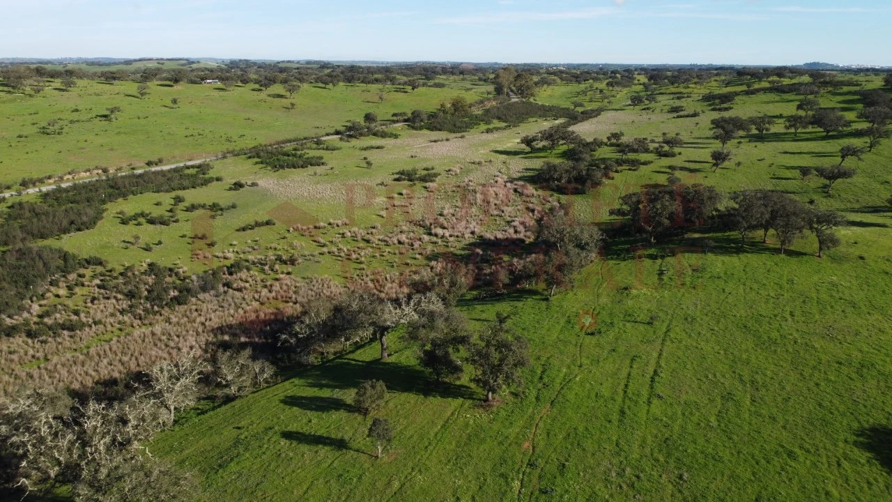 Terreno Agricola ou Rústico para Venda em Ourique Foto 2