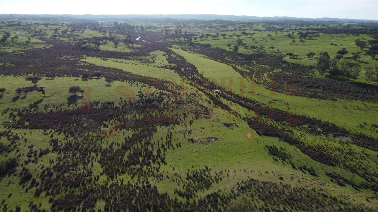 Terreno Agricola ou Rústico para Venda em Ourique Foto 4