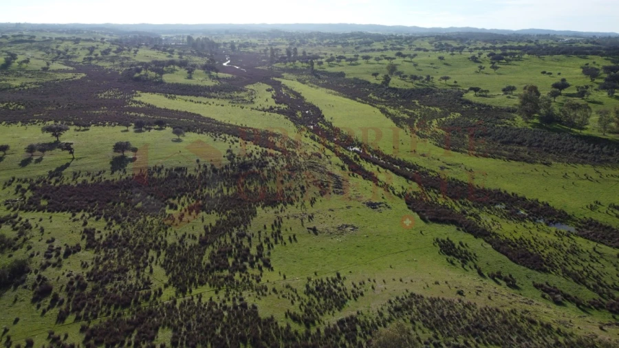 Terreno Agricola ou Rústico para Venda em Ourique Foto 4