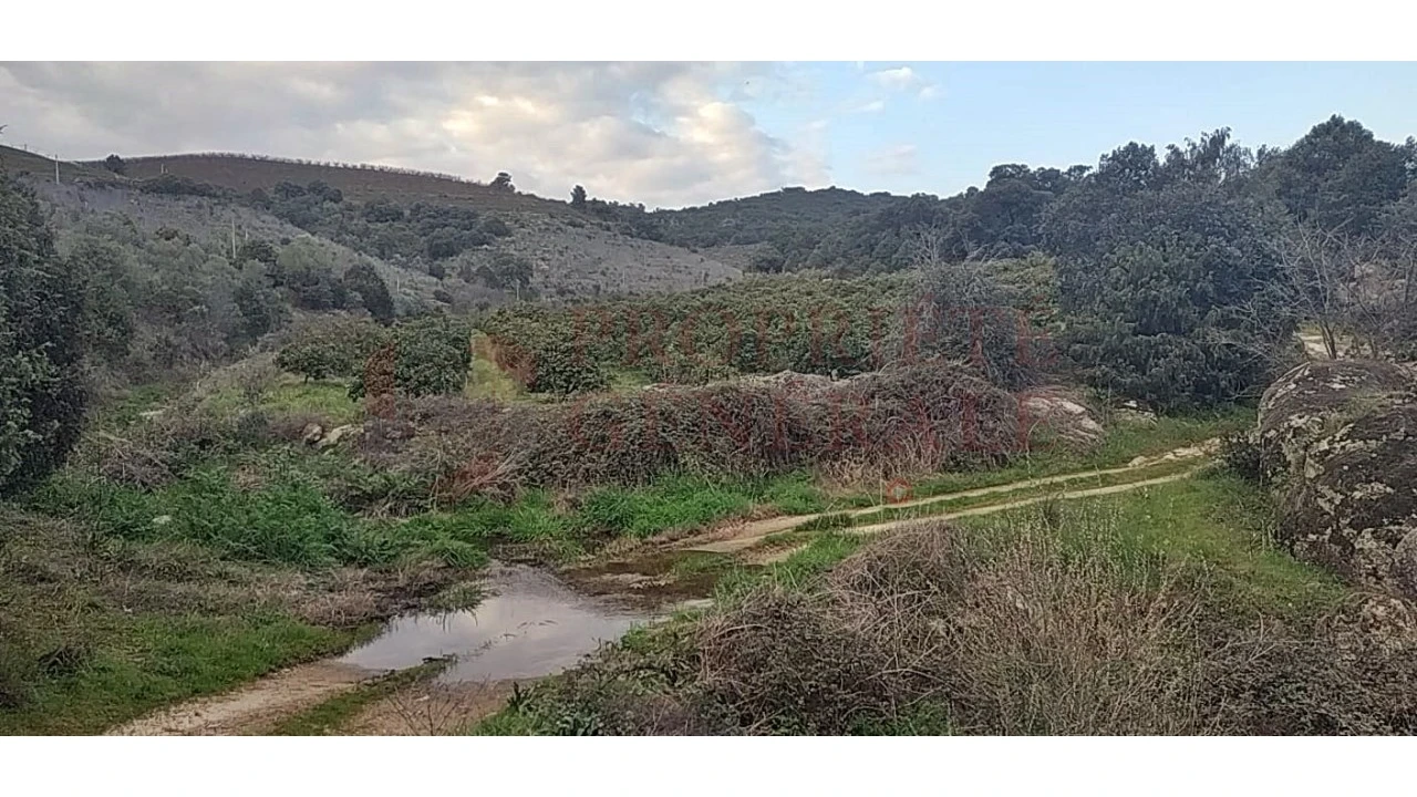 Quinta para Venda em Santa Comba de Vilariça Foto 2