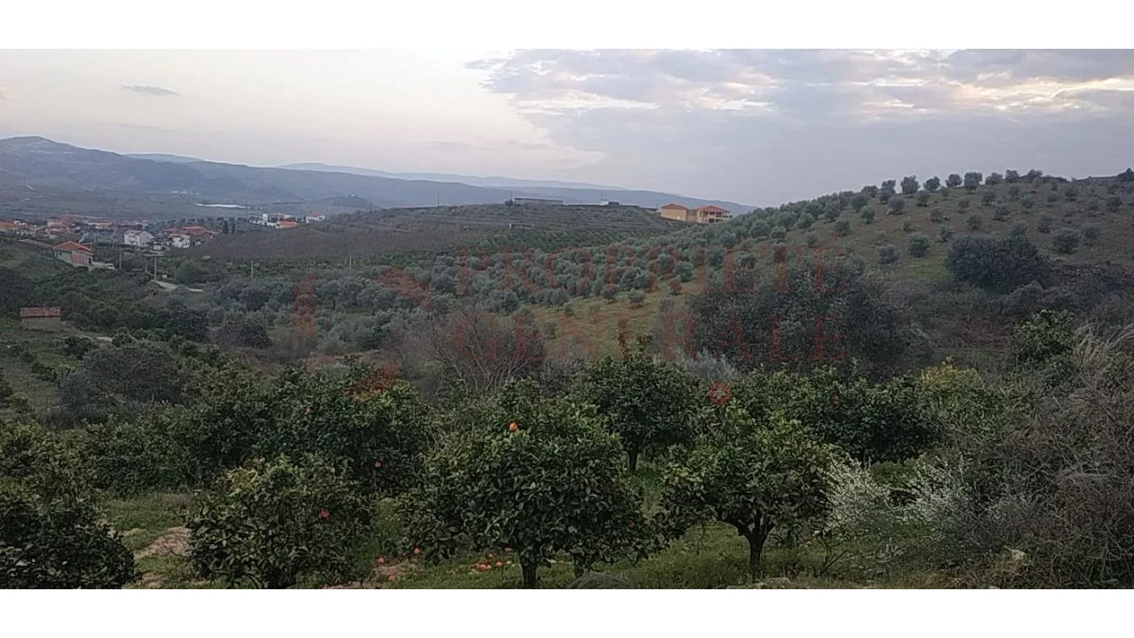 Quinta para Venda em Santa Comba de Vilariça Foto 3