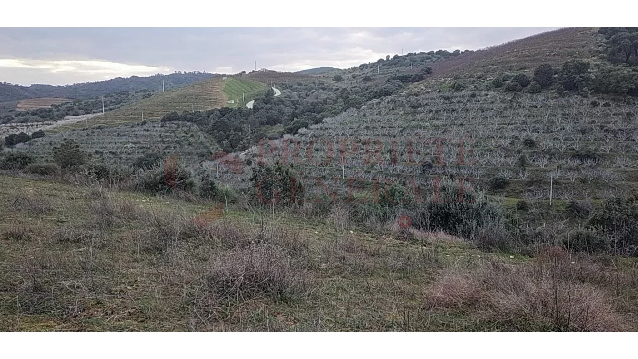 Quinta para Venda em Santa Comba de Vilariça Foto 4