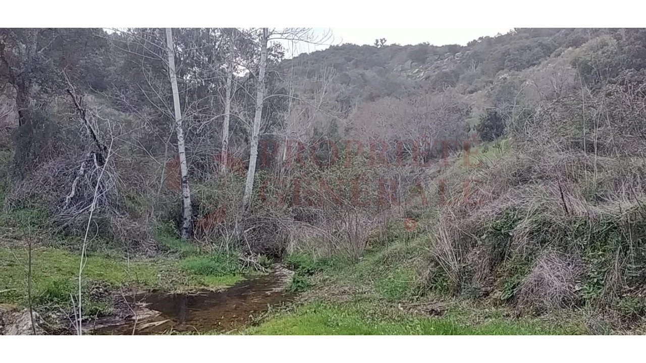 Quinta para Venda em Santa Comba de Vilariça Foto 5