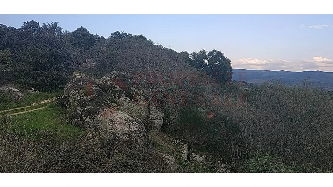Quinta para Venda em Santa Comba de Vilariça Foto 6