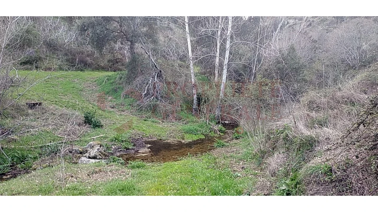 Quinta para Venda em Santa Comba de Vilariça Foto 7