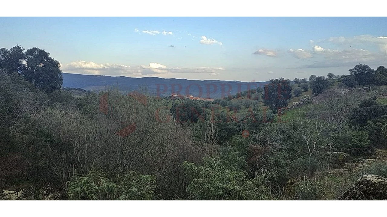 Quinta para Venda em Santa Comba de Vilariça Foto 9