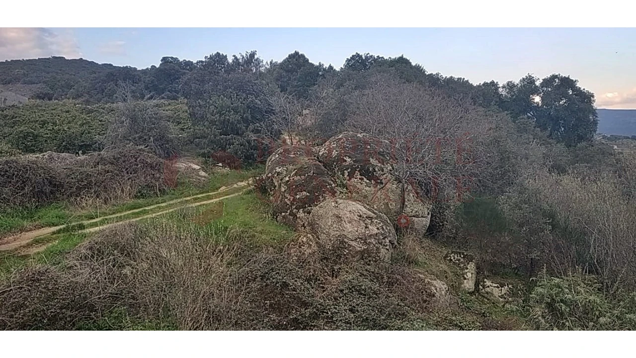 Quinta para Venda em Santa Comba de Vilariça Foto 11