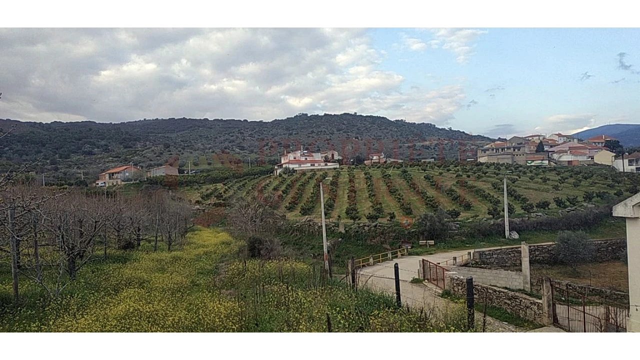 Quinta para Venda em Santa Comba de Vilariça Foto 12