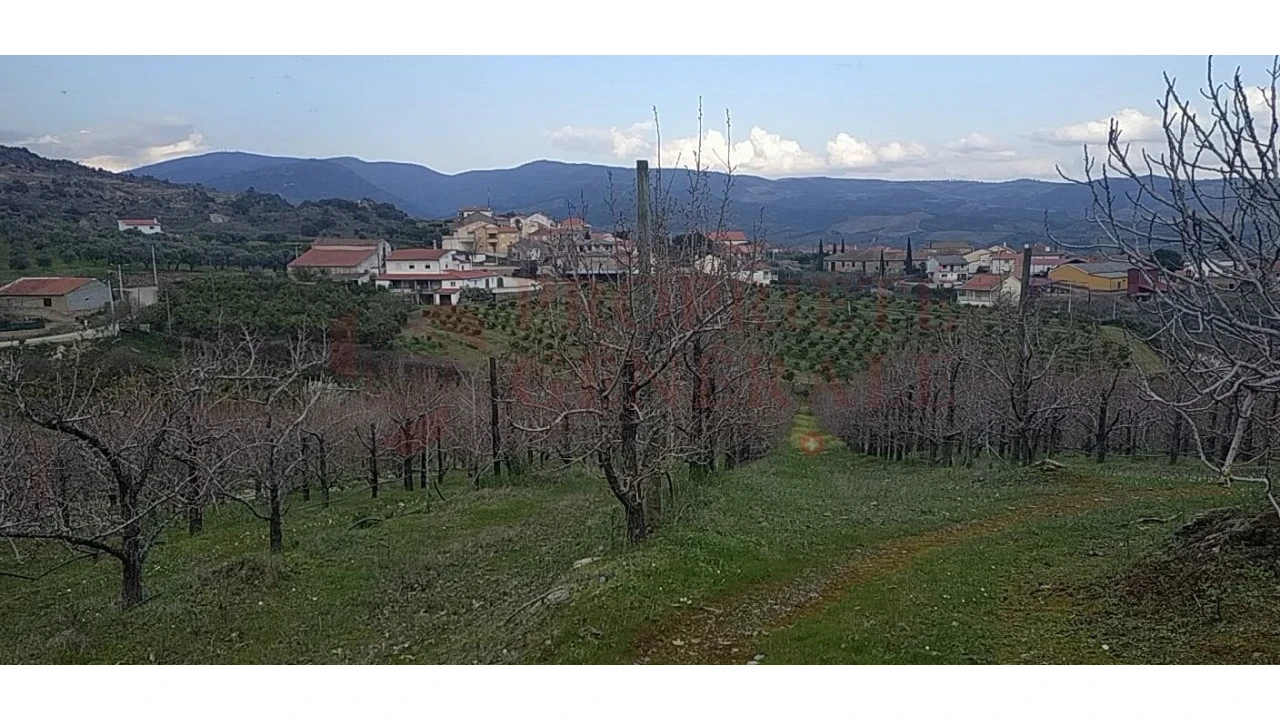 Quinta para Venda em Santa Comba de Vilariça Foto 13