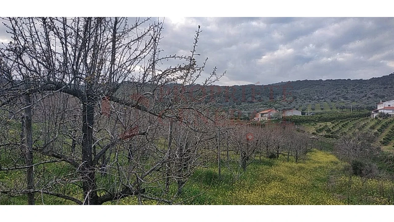 Quinta para Venda em Santa Comba de Vilariça Foto 14
