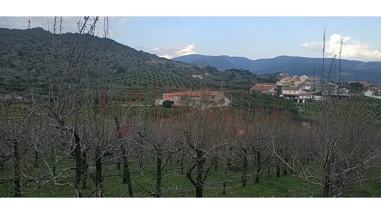 Quinta para Venda em Santa Comba de Vilariça Foto 17