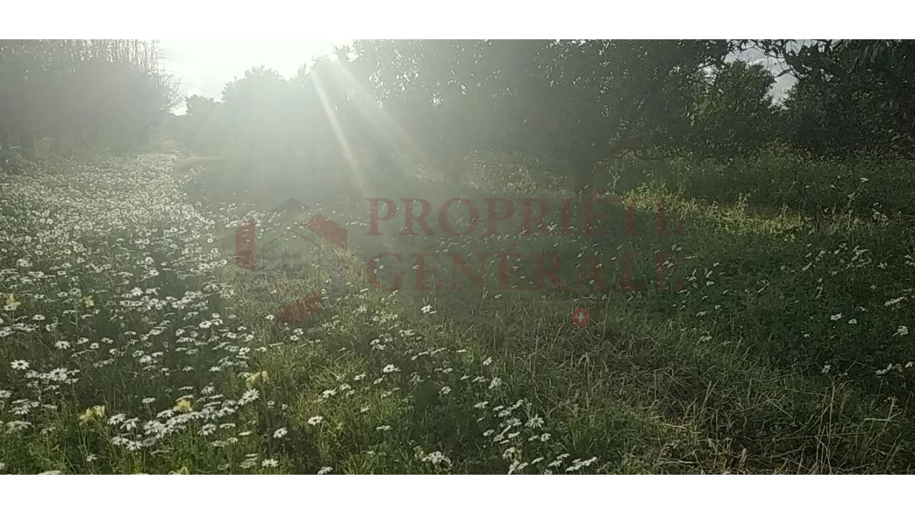 Quinta para Venda em Santa Comba de Vilariça Foto 19