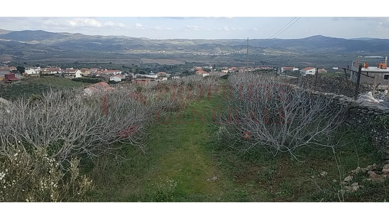 Quinta para Venda em Santa Comba de Vilariça Foto 21